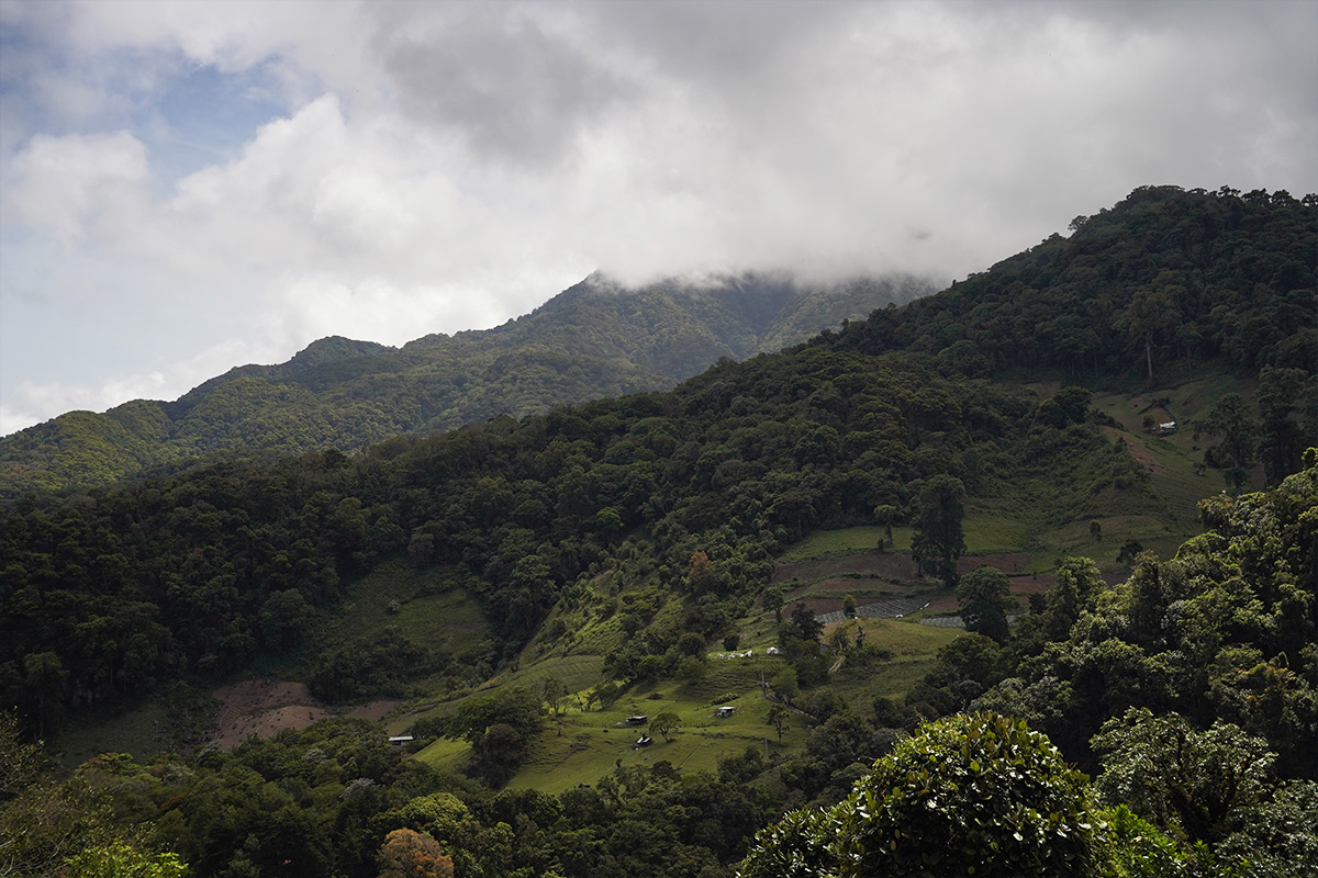 Boquete Lost Waterfalls